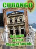 Acadêmicos do Cubango 2010