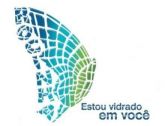 Acadêmicos da Rocinha 2011